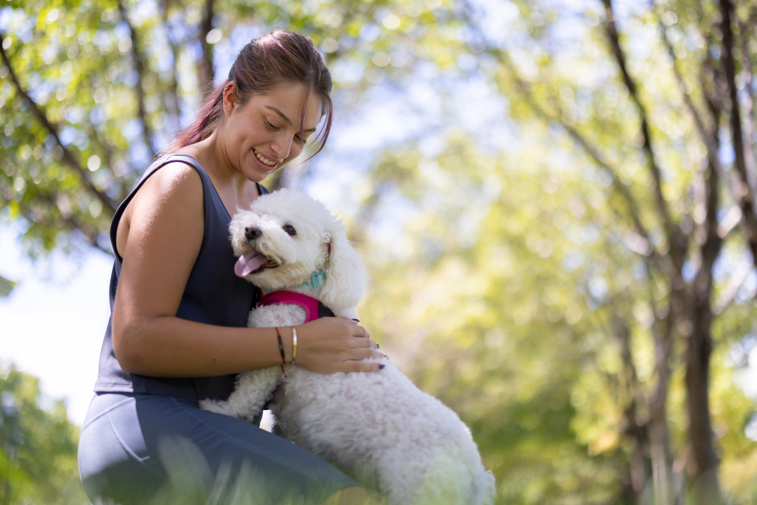 Dog and Owner