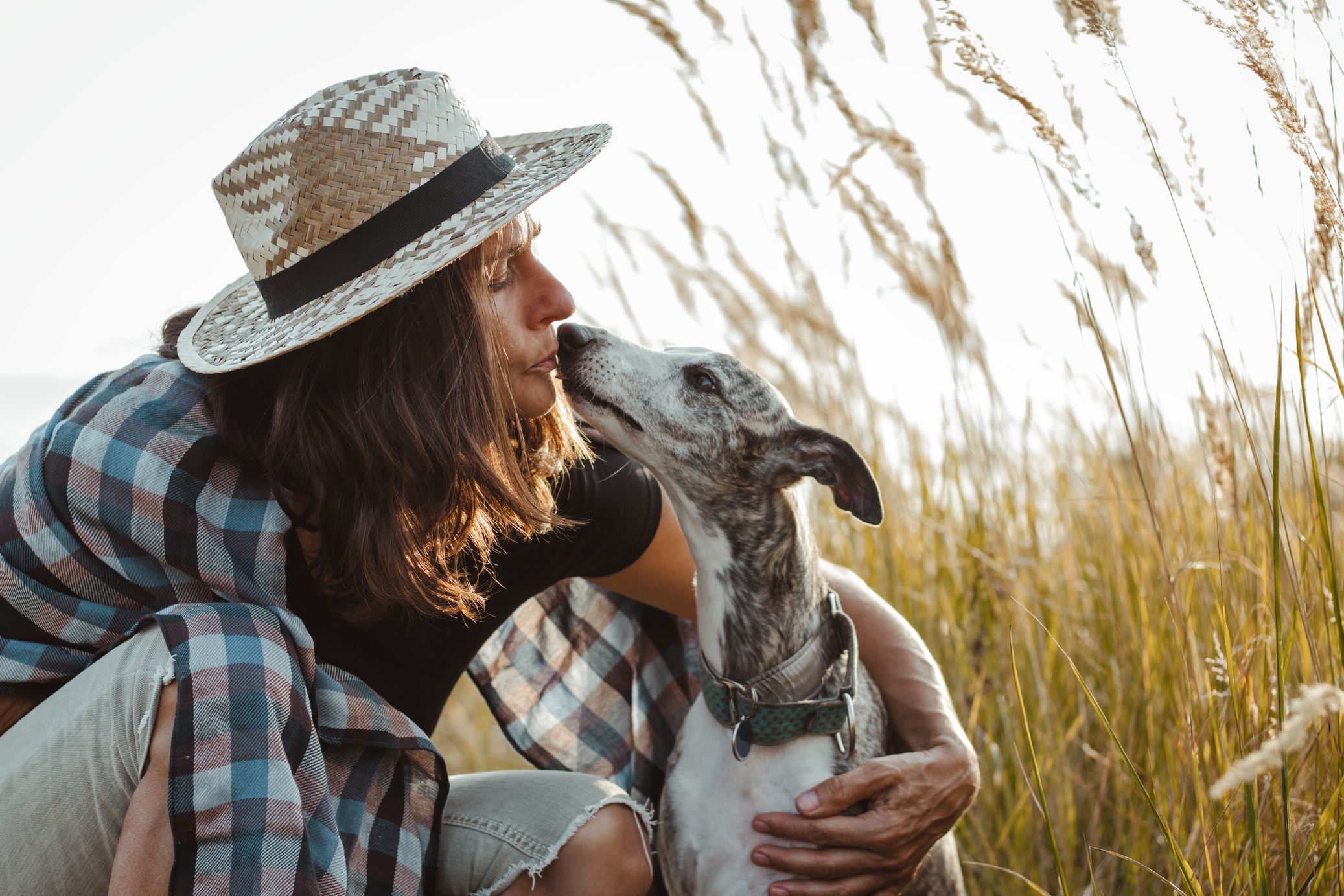 Pet owner woman kissing her cute dog.